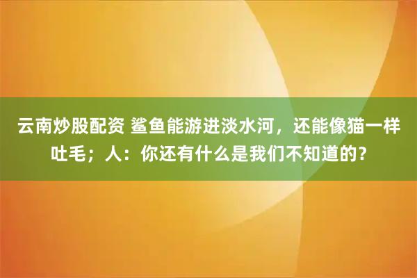 云南炒股配资 鲨鱼能游进淡水河，还能像猫一样吐毛；人：你还有什么是我们不知道的？